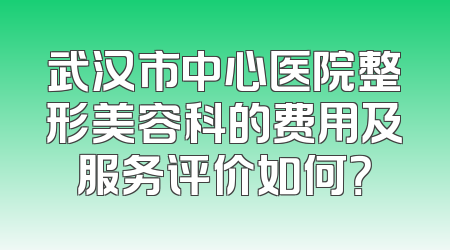 武汉市中心医院整形美容科的费用及服务评价如何？