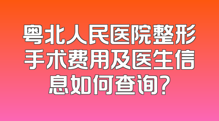 粤北人民医院整形手术费用及医生信息如何查询？