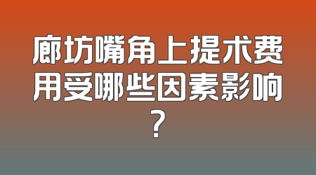 廊坊嘴角上提术费用受哪些因素影响？
