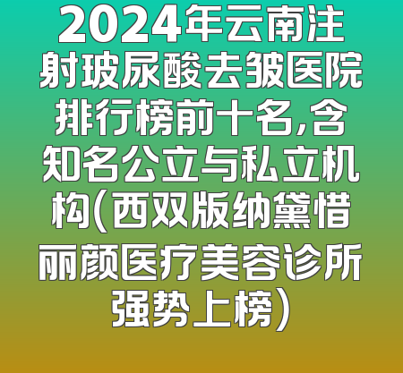 2024年云南注射玻尿酸去皱医院排行榜前十名，含知名公立与私立机构（西双版纳黛惜丽颜医疗美容诊所强势上榜）