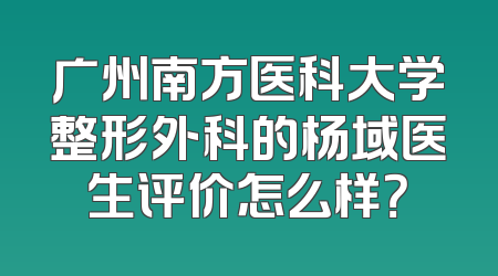 广州南方医科大学整形外科的杨域医生评价怎么样？