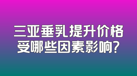 三亚垂乳提升价格受哪些因素影响？