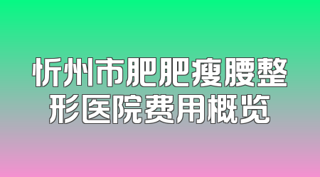忻州市肥肥瘦腰整形医院费用概览