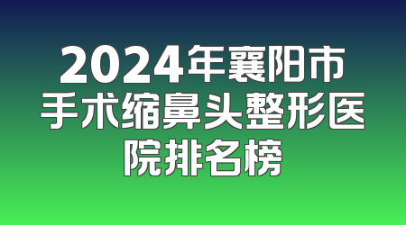 2024年襄阳市手术缩鼻头整形医院排名榜