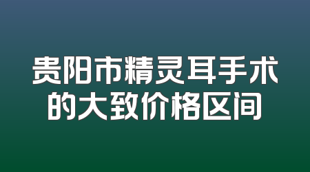 贵阳市精灵耳手术的大致价格区间