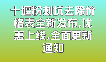 十堰粉刺坑去除价格表全新发布，优惠上线，全面更新通知