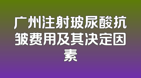 广州注射玻尿酸抗皱费用及其决定因素