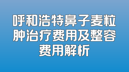 呼和浩特鼻子麦粒肿治疗费用及整容费用解析
