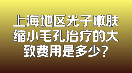 上海地区光子嫩肤缩小毛孔治疗的大致费用是多少？
