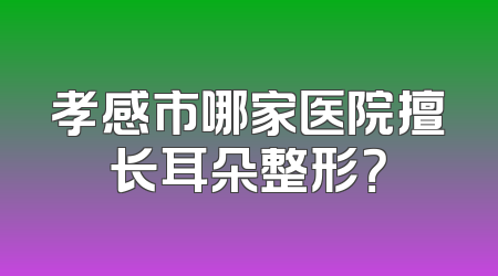 孝感市哪家医院擅长耳朵整形？