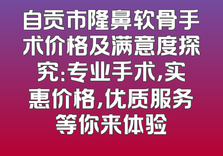 自贡市隆鼻软骨手术价格及满意度探究：专业手术，实惠价格，优质服务等你来体验
