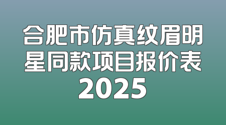 合肥市仿真纹眉明星同款项目报价表2025