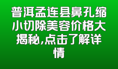 普洱孟连县鼻孔缩小切除美容价格大揭秘，点击了解详情