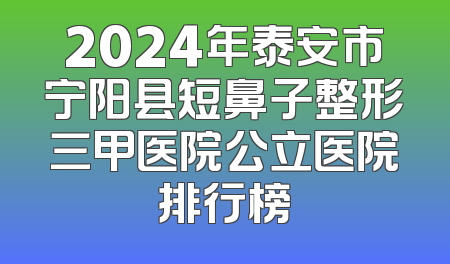 2024年泰安市宁阳县短鼻子整形三甲医院公立医院排行榜