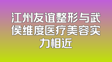 江州友谊整形与武侯维度医疗美容实力相近