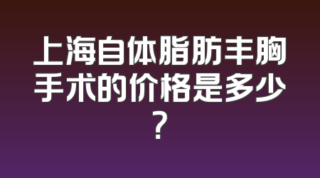 上海自体脂肪丰胸手术的价格是多少？