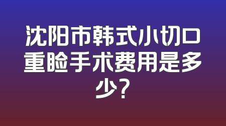 沈阳市韩式小切口重睑手术费用是多少？