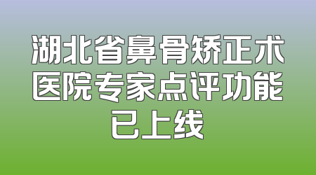 湖北省鼻骨矫正术医院专家点评功能已上线