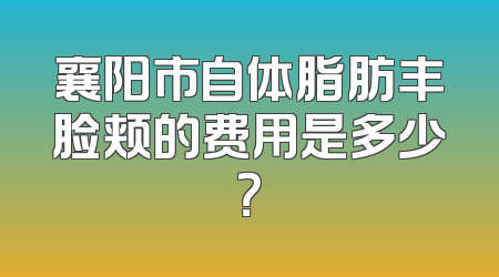 襄阳市自体脂肪丰脸颊的费用是多少？