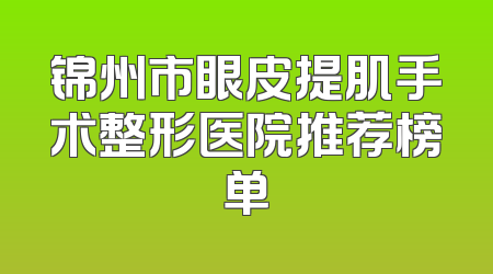锦州市眼皮提肌手术整形医院推荐榜单