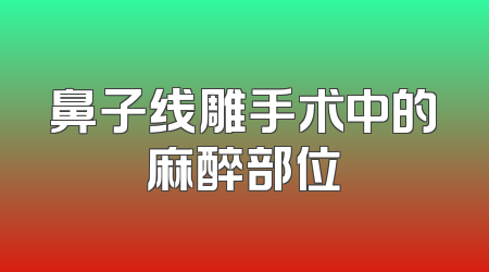 鼻子线雕手术中的麻醉部位