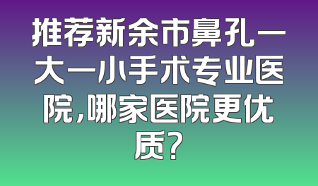 推荐新余市鼻孔一大一小手术专业医院，哪家医院更优质？