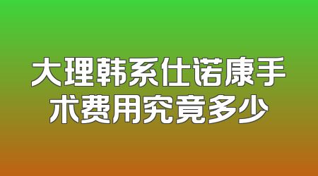 大理韩系仕诺康手术费用究竟多少