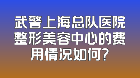 武警上海总队医院整形美容中心的费用情况如何？