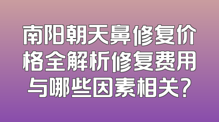 南阳朝天鼻修复价格全解析修复费用与哪些因素相关？