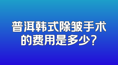 普洱韩式除皱手术的费用是多少？