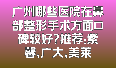 广州哪些医院在鼻部整形手术方面口碑较好？推荐：紫馨、广大、美莱