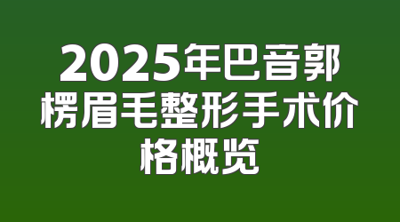 2025年巴音郭楞眉毛整形手术价格概览