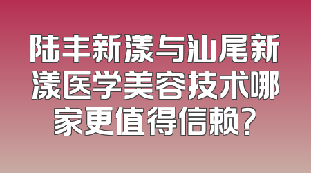 陆丰新漾与汕尾新漾医学美容技术哪家更值得信赖？