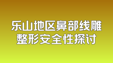 乐山地区鼻部线雕整形安全性探讨
