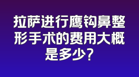 拉萨进行鹰钩鼻整形手术的费用大概是多少？