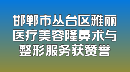 邯郸市丛台区雅丽医疗美容隆鼻术与整形服务获赞誉