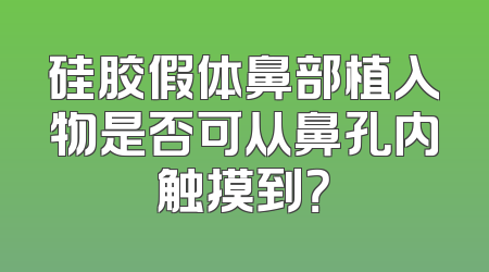 硅胶假体鼻部植入物是否可从鼻孔内触摸到？