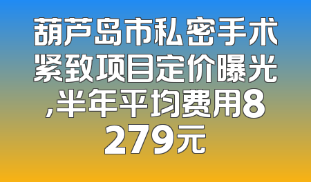 葫芦岛市私密手术紧致项目定价曝光，半年平均费用8279元