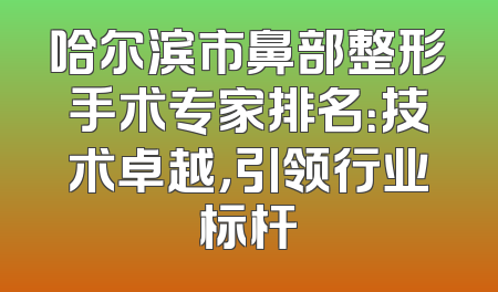 哈尔滨市鼻部整形手术专家排名：技术卓越，引领行业标杆