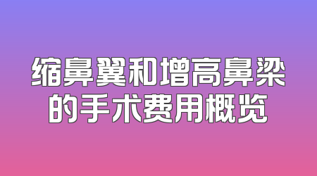 缩鼻翼和增高鼻梁的手术费用概览