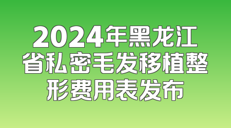 2024年黑龙江省私密毛发移植整形费用表发布