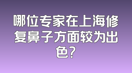 哪位专家在上海修复鼻子方面较为出色？