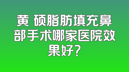 黄镕硕脂肪填充鼻部手术哪家医院效果好？