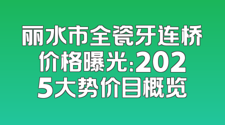 丽水市全瓷牙连桥价格曝光：2025大势价目概览