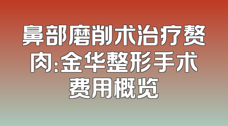 鼻部磨削术治疗赘肉：金华整形手术费用概览