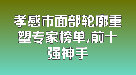 孝感市面部轮廓重塑专家榜单，前十强神手