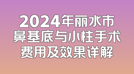 2024年丽水市鼻基底与小柱手术费用及效果详解