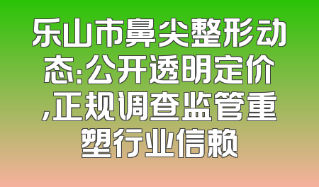 乐山市鼻尖整形动态：公开透明定价，正规调查监管重塑行业信赖
