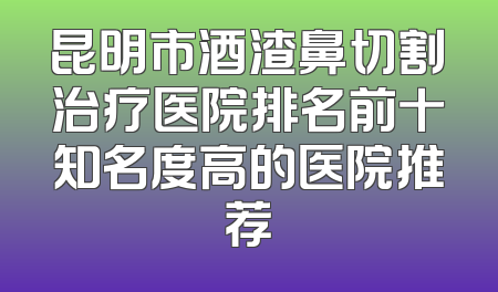 昆明市酒渣鼻切割治疗医院排名前十知名度高的医院推荐