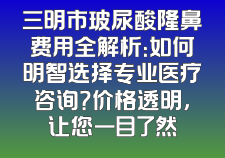 三明市玻尿酸隆鼻费用全解析：如何明智选择专业医疗咨询？价格透明，让您一目了然